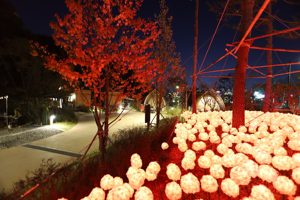 우이동 가족캠핑장에 LED조명으로 만든 음악꽃밭이 환한 불빛을 내고 있다