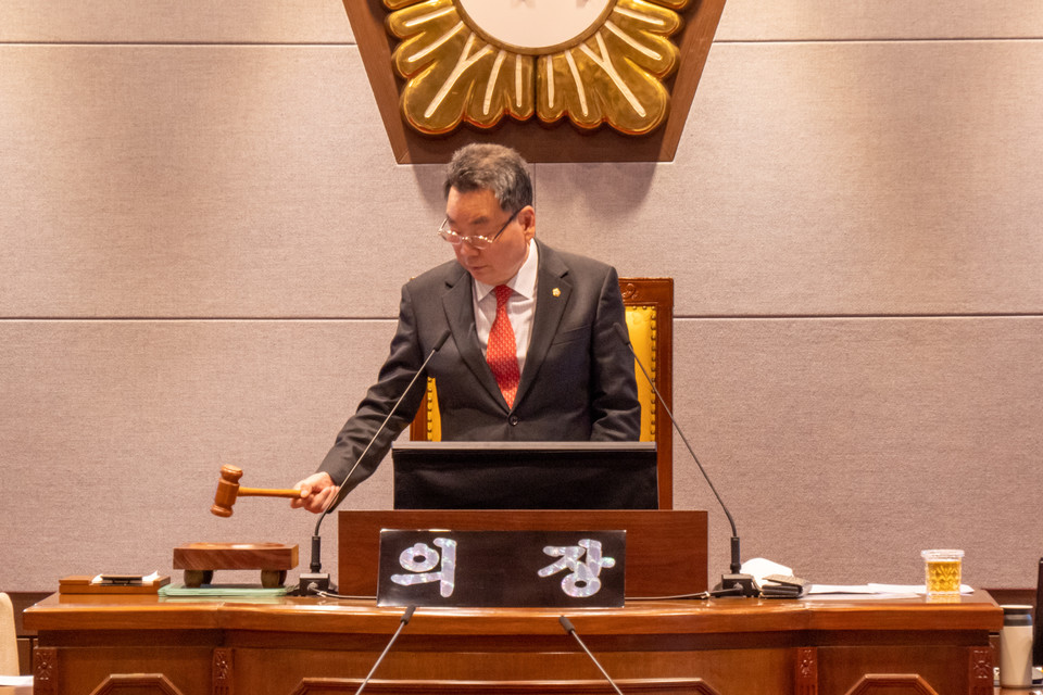 김형대 강남구의장