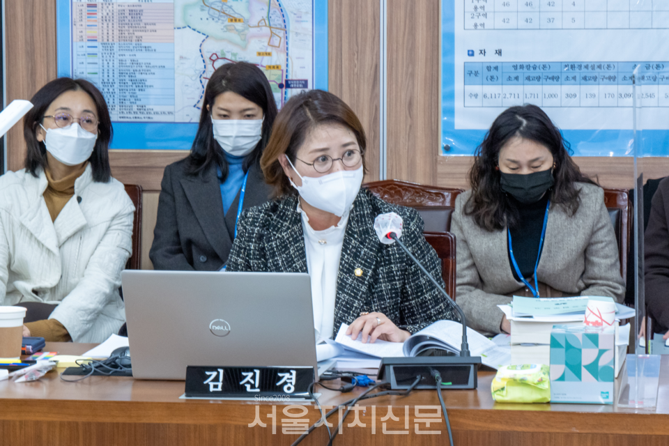 김진경 강남구의원