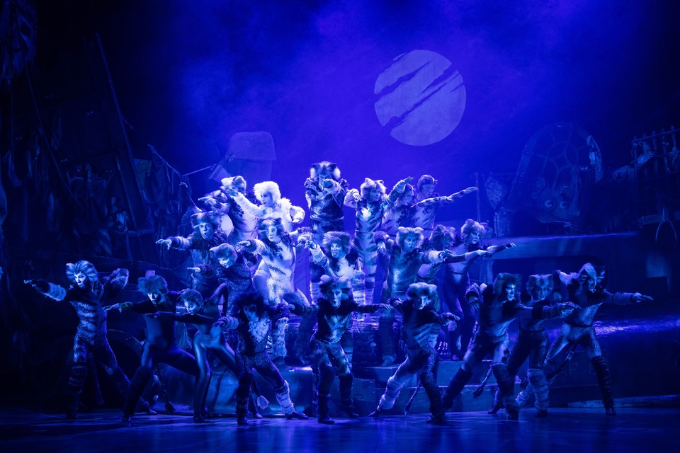 부산 드림씨어터에서 '캣츠'내한 공연이  1월  6일 개막한다 오리지널  연출로 돌아온  '캣츠' 공연 스틸