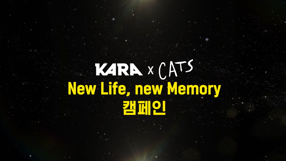 캣츠와 동물권행동 카라가 함께 진행하는 유기묘 입양 독려 캠페인 영상 중 한 장면(자료제공=동물권행동 카라, 클립서비스)