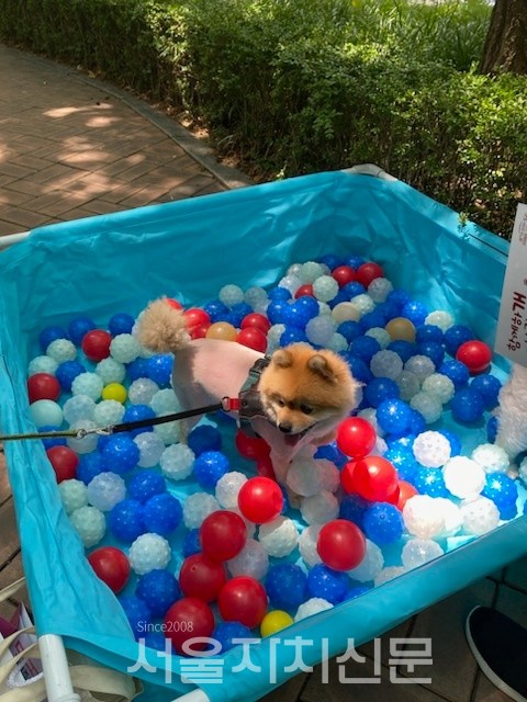 사진제공=수서동 주민센터