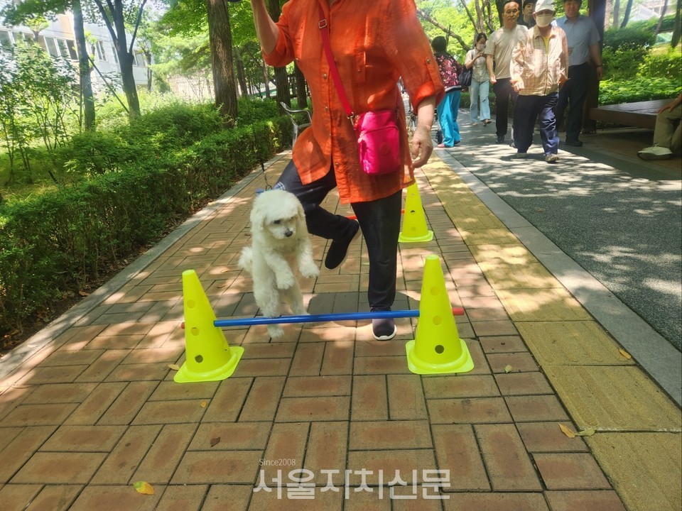 사진제공=수서동주민센터