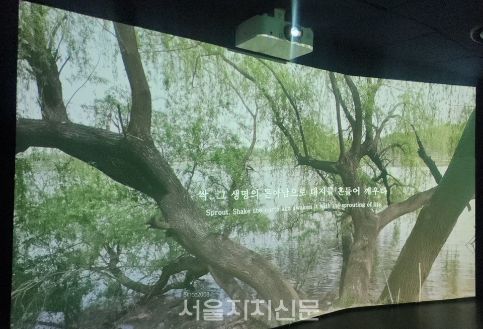 2023 홍나겸 W심포니