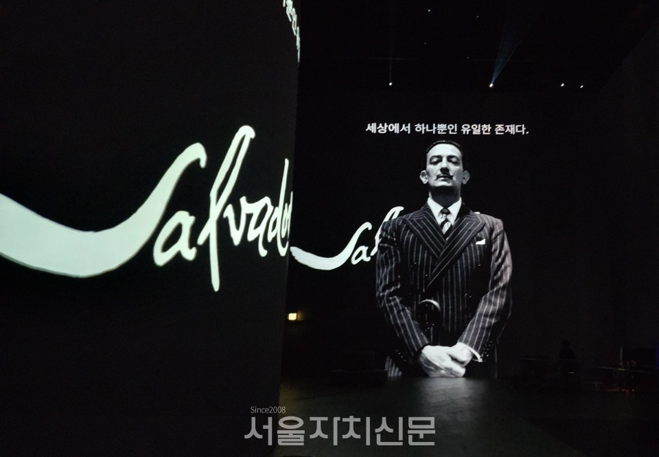 달리, 끝없는 수수께끼 2