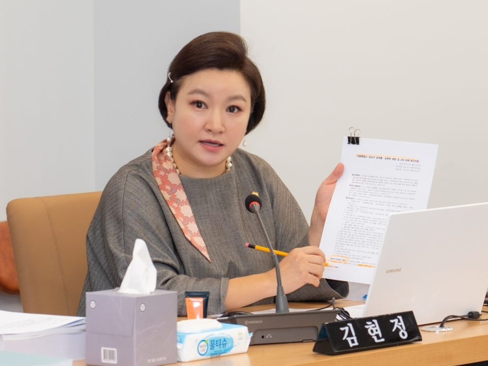 김현정 강남구의원