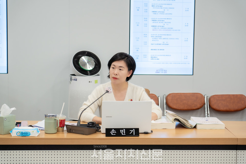 손민기 강남구의원