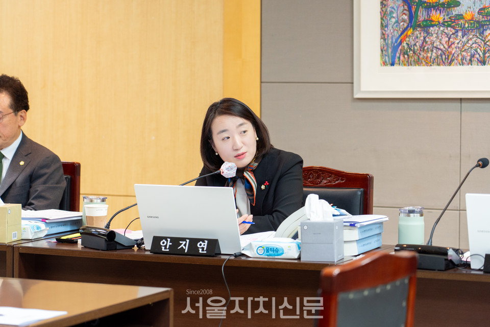 안지연 강남구의원