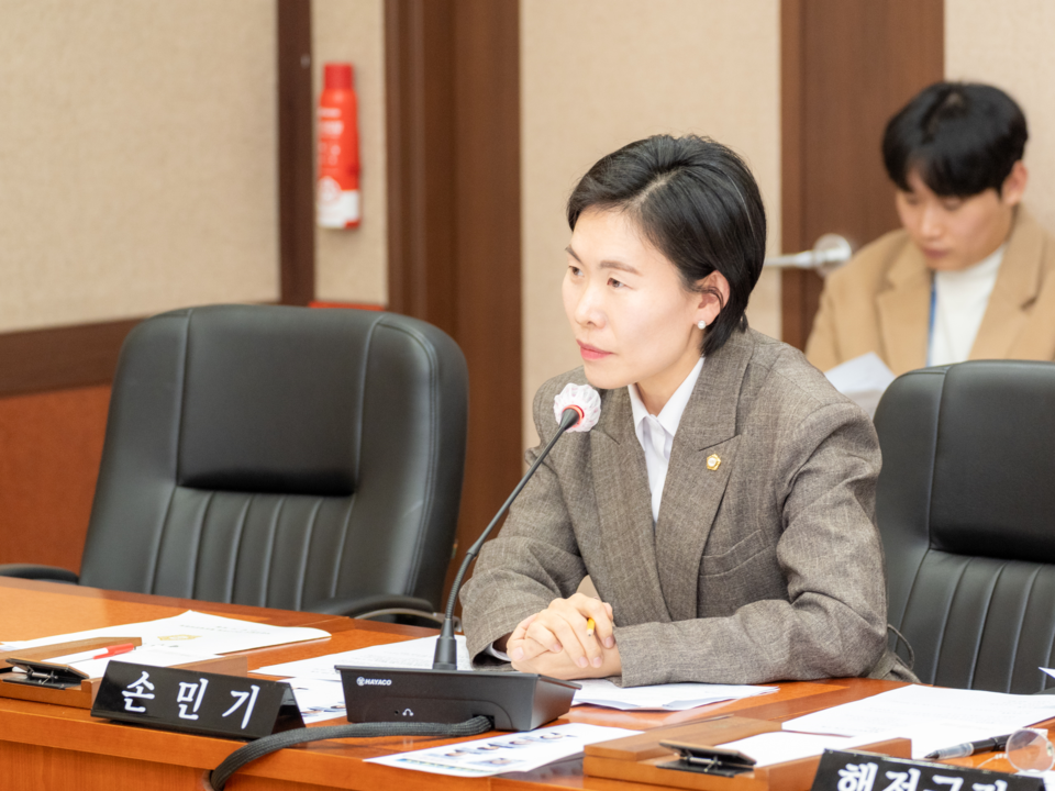 손민기 강남구의원