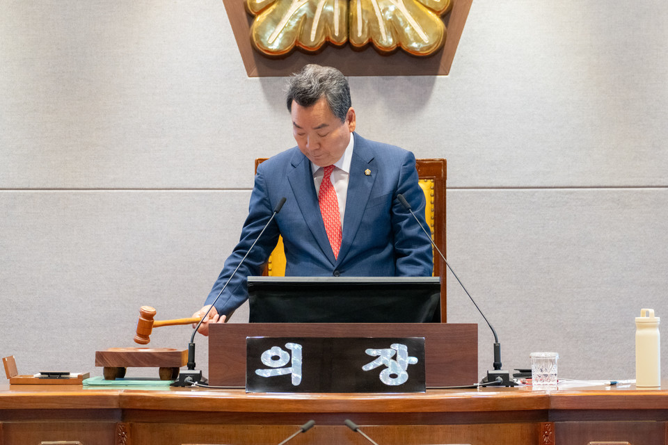 김형대 강남구의장