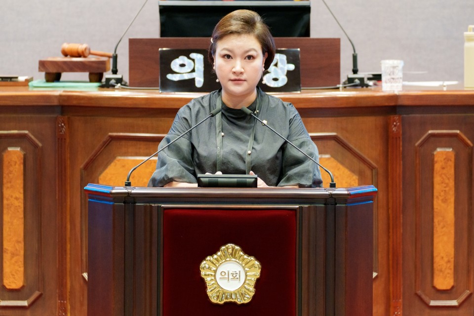 김현정 강남구의원