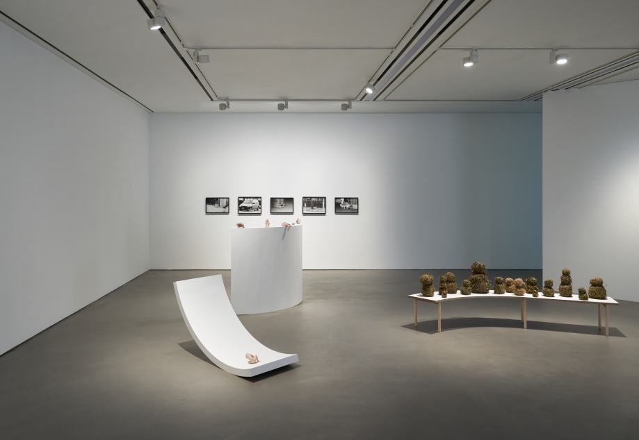 ▲전시《우리는 개처럼 밤의 깊은 어둠을 파헤칠 수 없다》 ㅣ 제공 두산아트센터