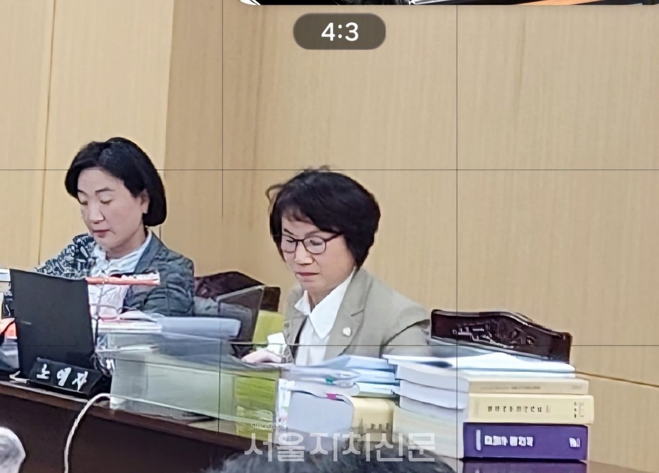행정사무감사 중인 노애자 의원