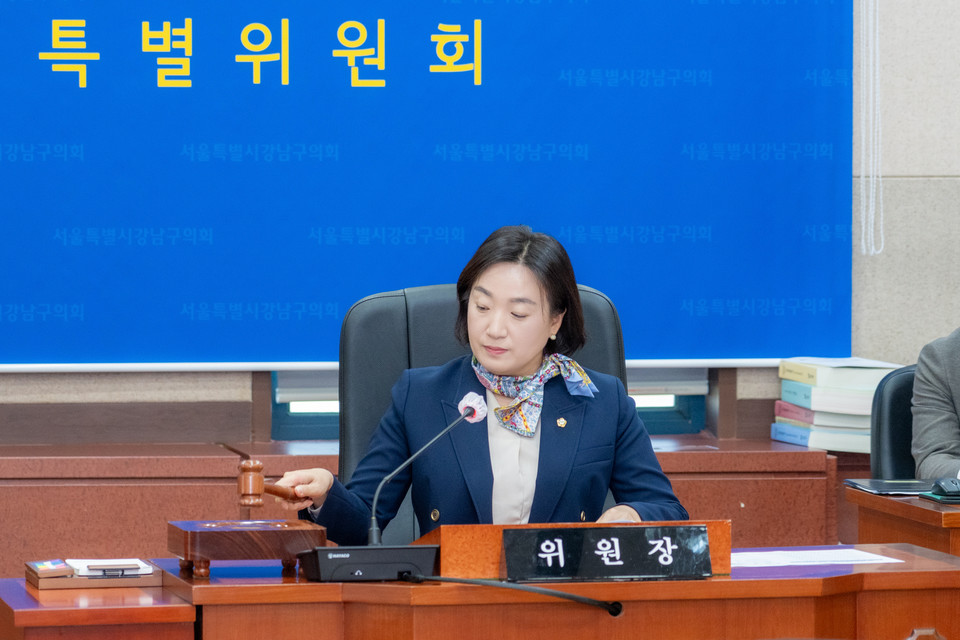 안지연 강남구의회 예결위원장