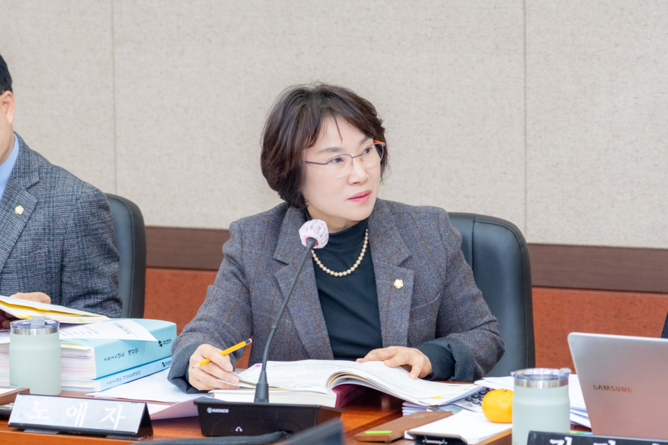 노애자 강남구의원