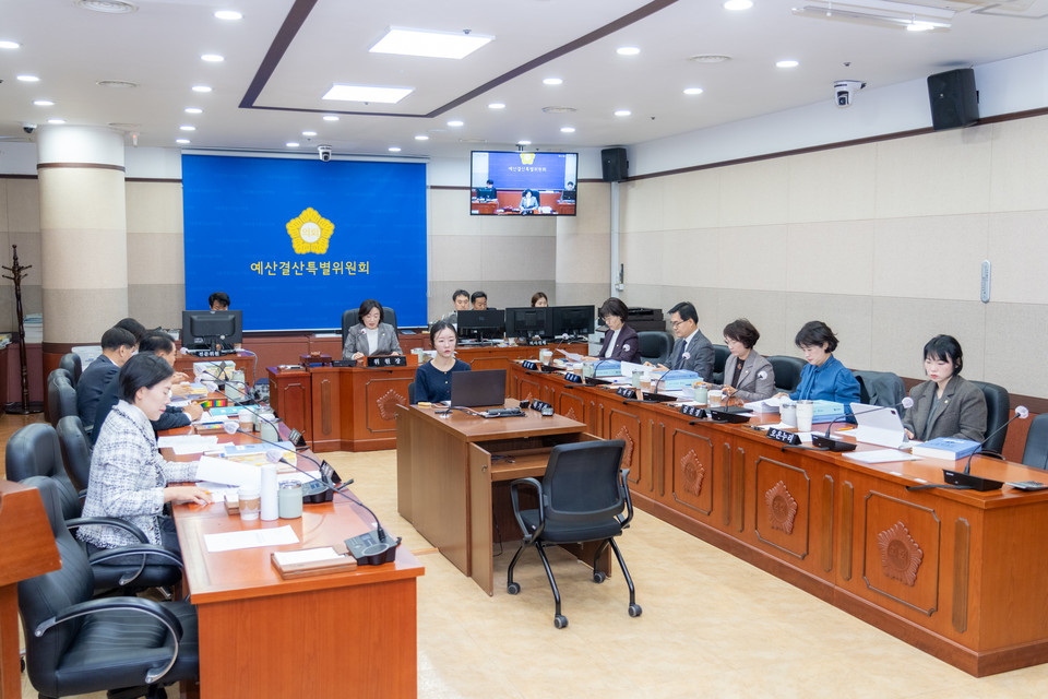 강남구의회 예산결산특별위원회