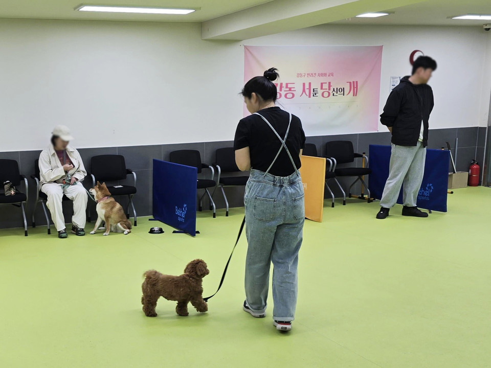 강동서당 운영 현장