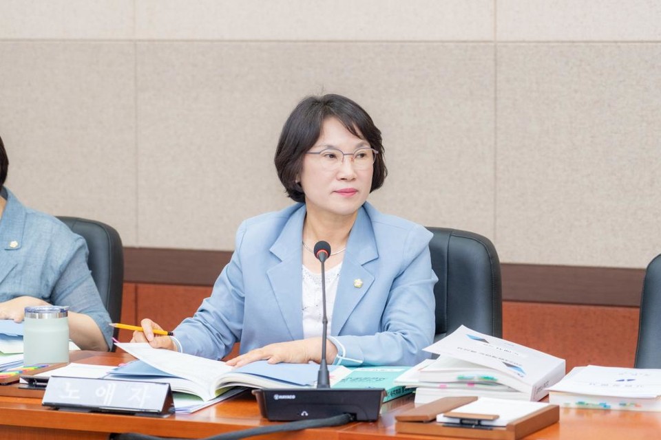 노애자 강남구의원