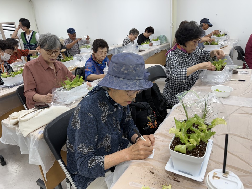 강남구노인통합지원센터, ‘2025년 독거노인 사회관계 활성화 사업’ 선정으로 취약 독거어르신 대상 자립지원 활동