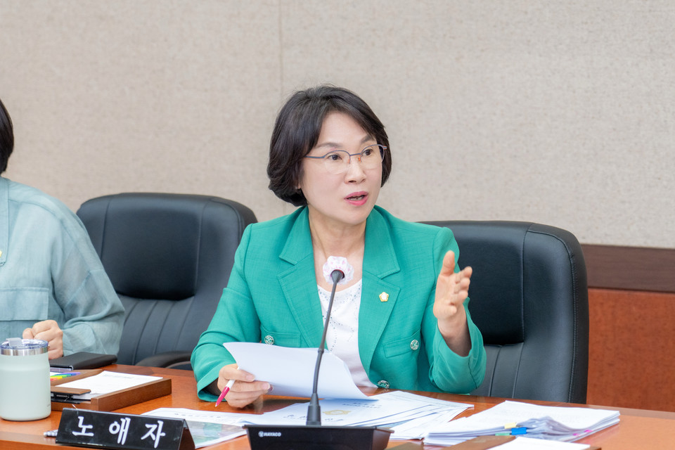 노애자 강남구의원