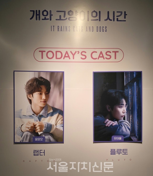 개와고양이의시간 1