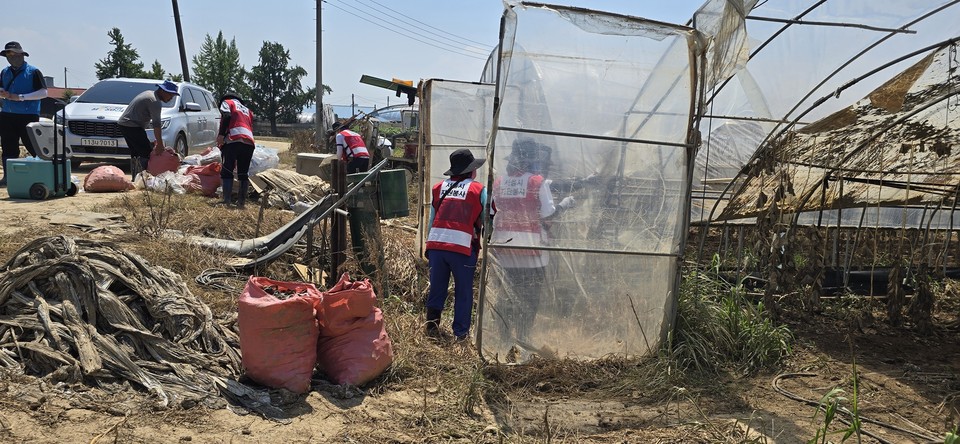 구로구 자원봉사단이 수해로 피해를 입은 농가의 비닐하우스를 정리하고 있다.