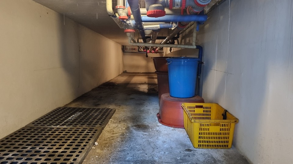 남천경로당 (정리 후)