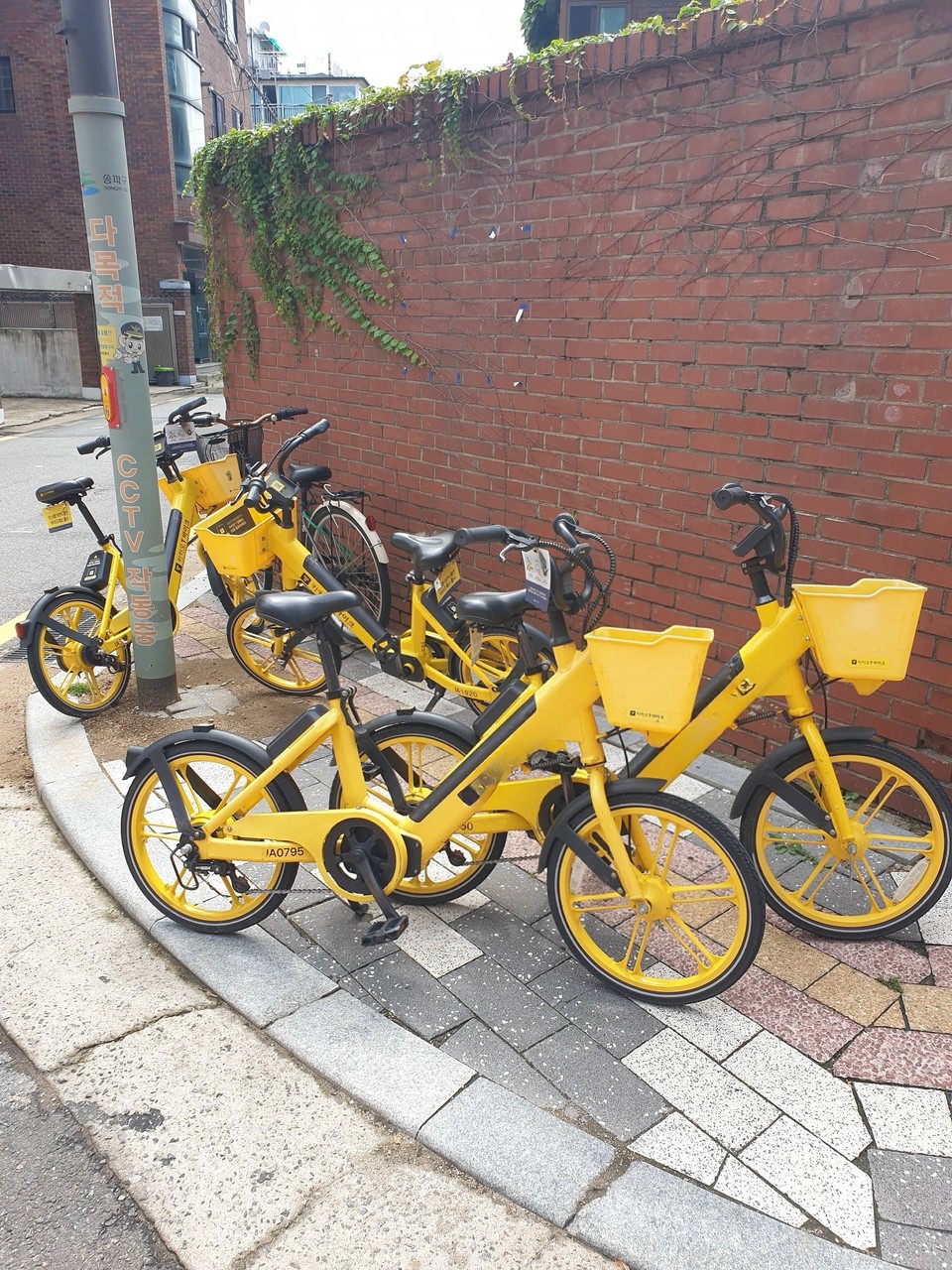 방치 전기전기자전거 사진