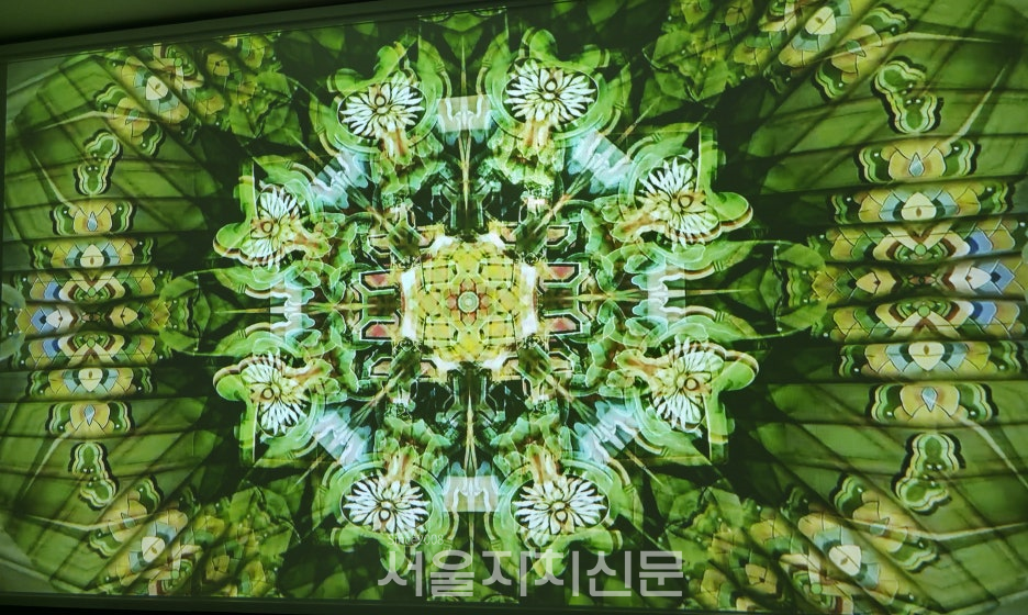 산일제사 학사동(관리동)전시실, 구본창 작가 '코리아 환타지'