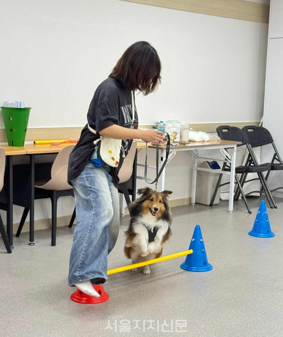 작업치료와 동물매개치료 연계 프로그램으로 가족 소통 및 유대감 강화