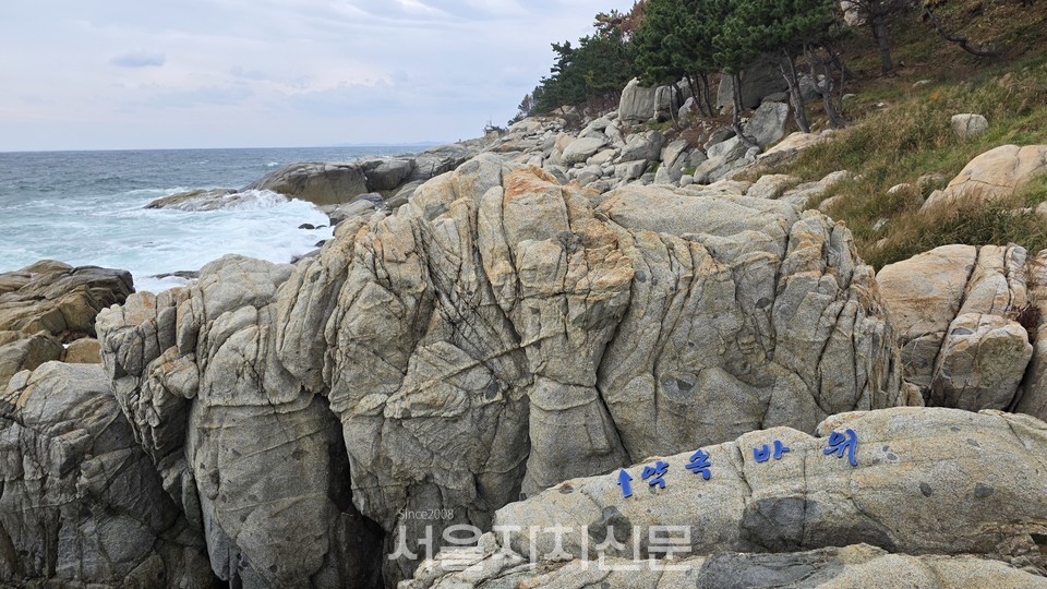 ▶ 2억만년전 마그마가 식어 형성된 영덕 약속바위