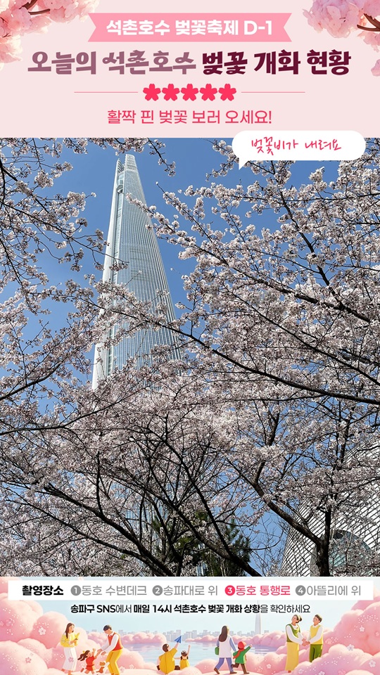 벚꽃 카운트다운